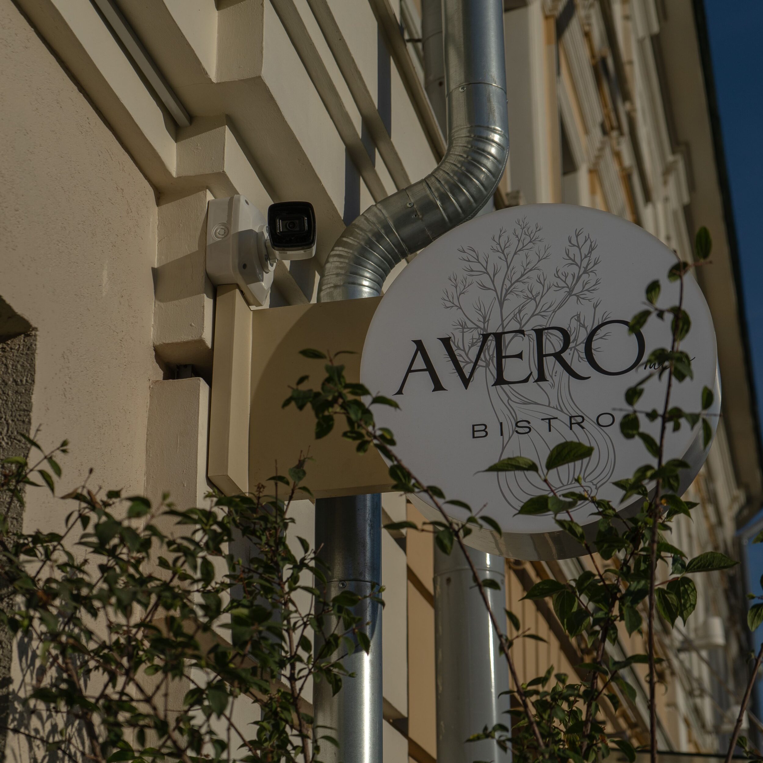 Avero Mio Bistro: мой настоящий вкус