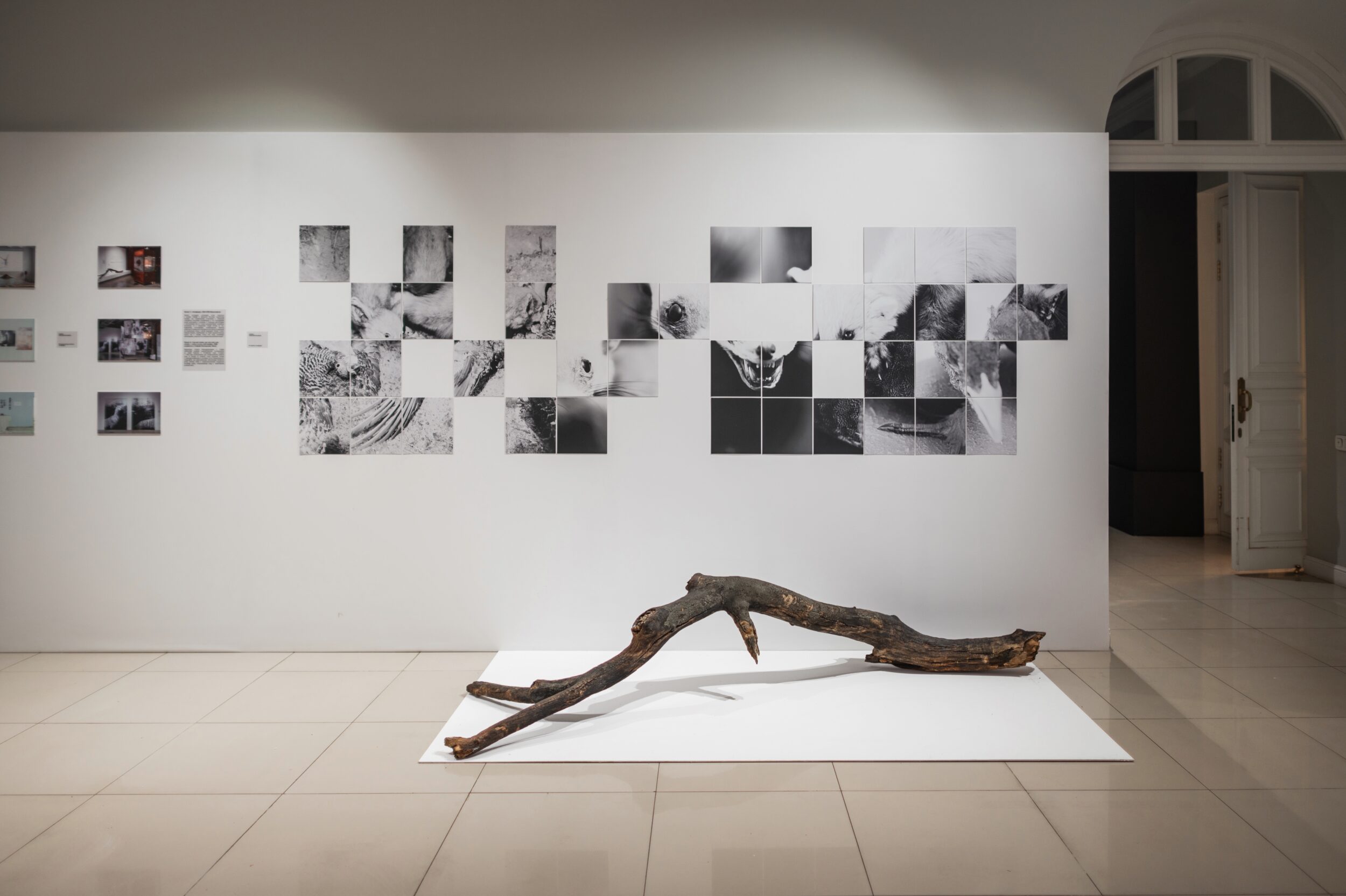 В  красноярском пространстве «Культ» 13 ноября состоялась церемония награждения победителей SCAN AWARDS