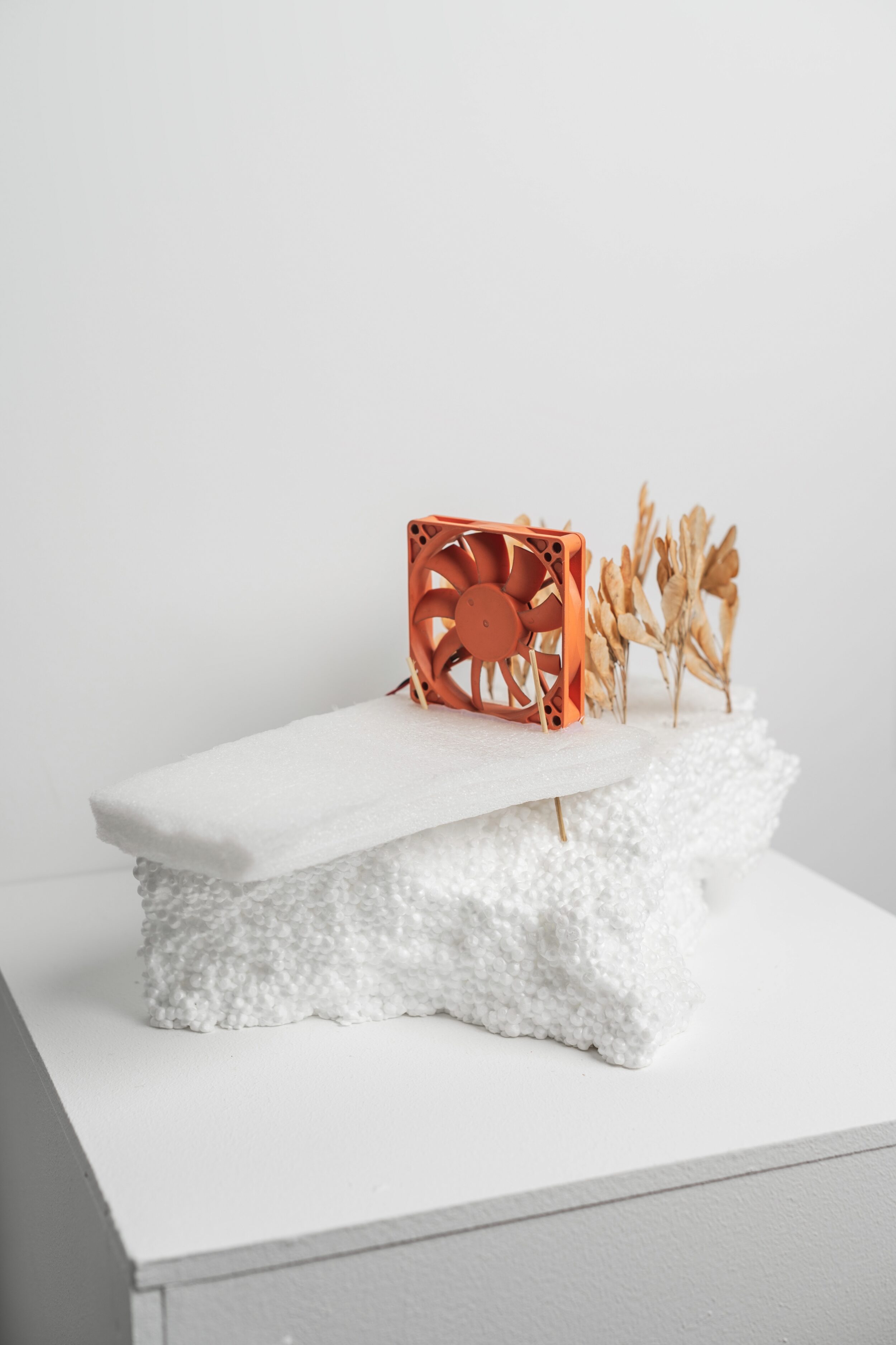 В  красноярском пространстве «Культ» 13 ноября состоялась церемония награждения победителей SCAN AWARDS