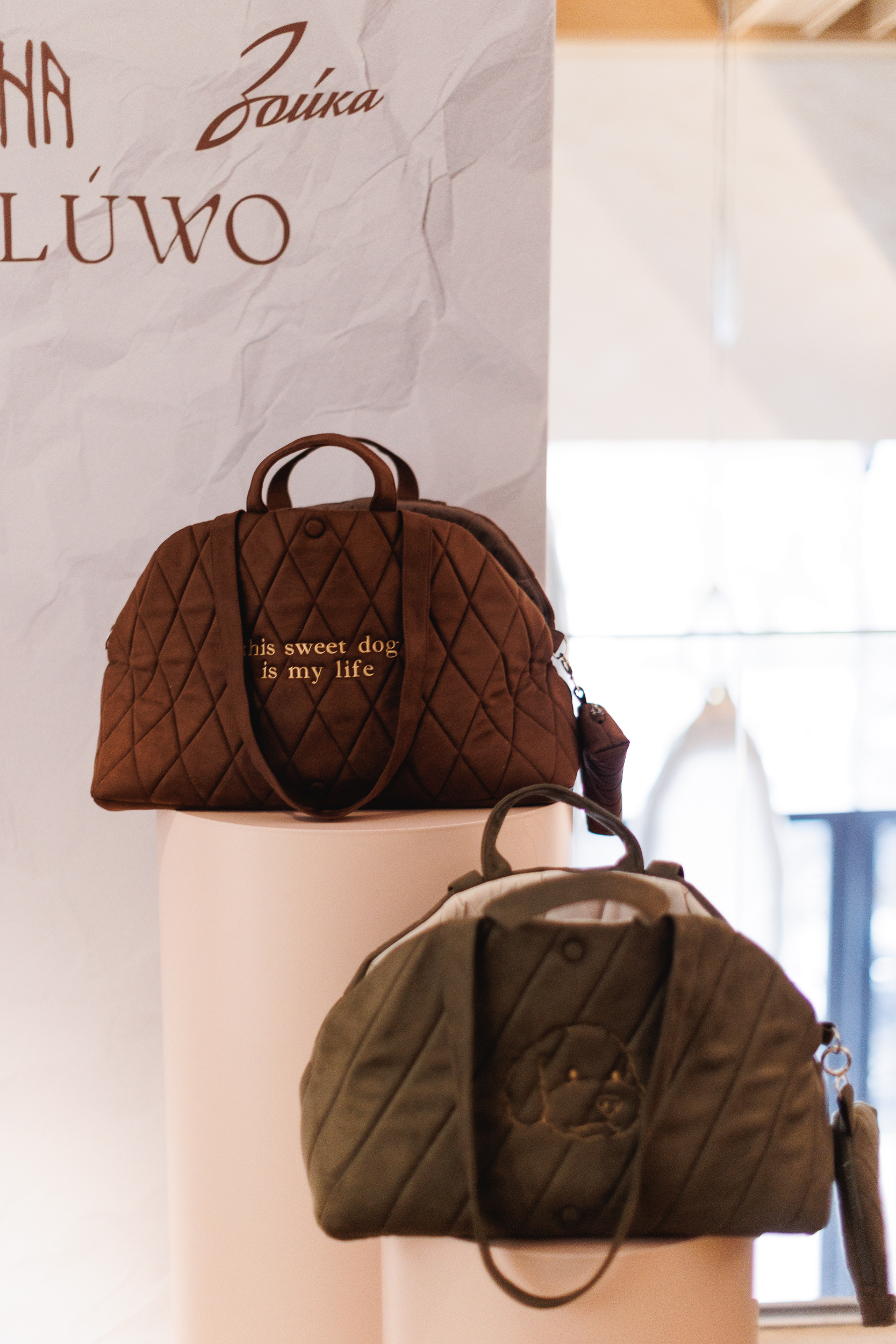 Тёплая коллаборация Origin и AW Pets — с любовью к пушистым друзьям